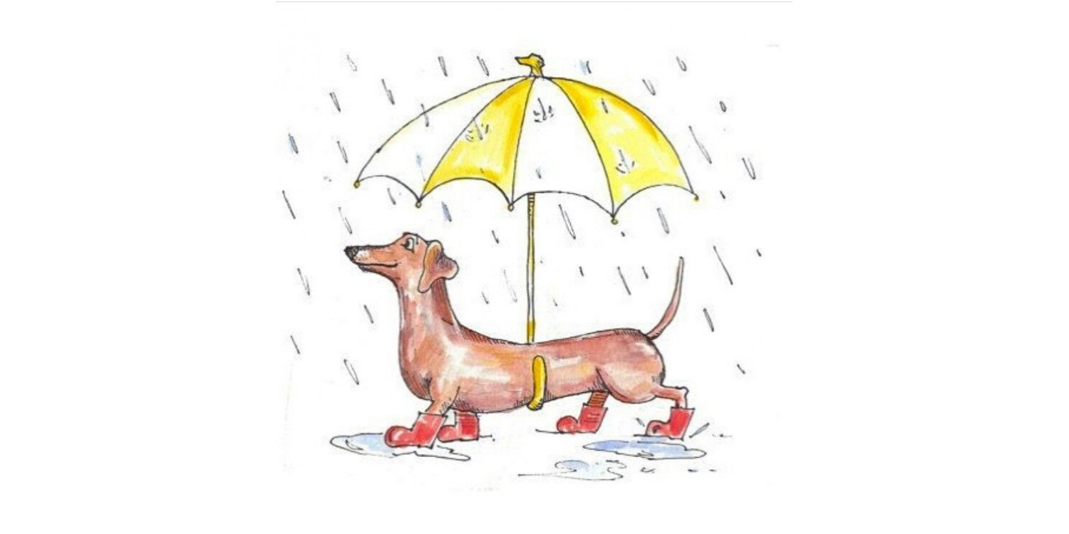  Качество никогда не выходит из моды