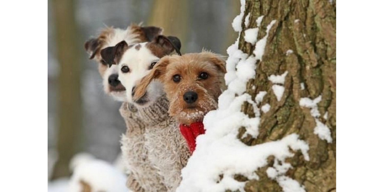  Качество никогда не выходит из моды